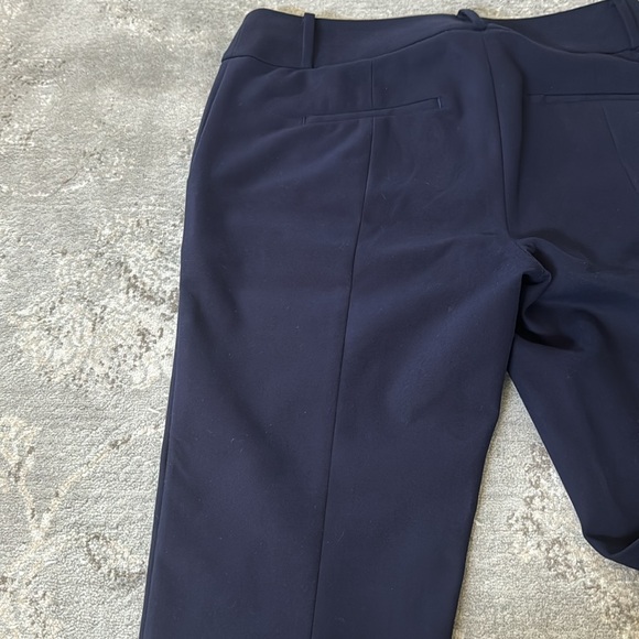 Ann Taylor Loft Skinny Ankle Pants in Curvy Fit (Size 4) - Picture 4 of 6